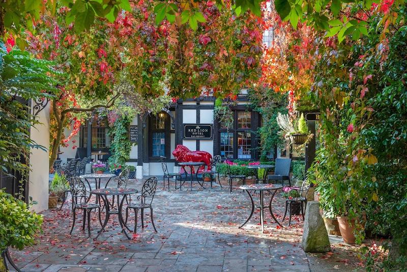 The Red Lion Hotel
